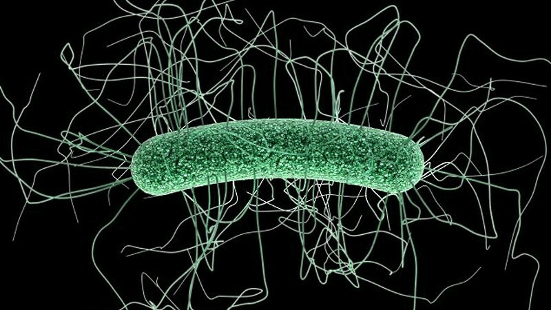 Clostridioides (Clostridium) Difficile Colitis: Practice Essentials ...