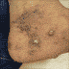 What's Your Assessment?