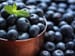 Blueberries May Boost Memory in Mild Cognitive Impairment