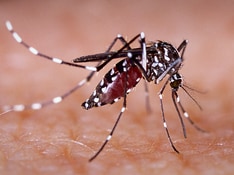 Clinical Trial Begins for New Drug to Combat Neglected Tropical Diseases