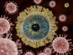 Ocular Abnormalities in Congenital Zika Syndrome
