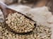 Replace Carbs With Lentils to Blunt Glucose Spike After Meals