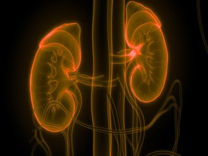 'Exciting Times' With Immunotherapy for Kidney Cancer