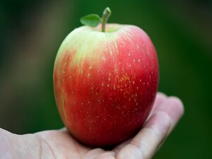 Apple Heart Study Raises Myriad Questions