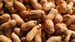 Peanut Desensitization Plummets 1 Month After Avoiding Exposure