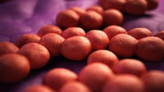 Antimicrobial Resistance Linked to 1.2 Million Global Deaths in 2019