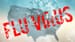 Coronavirus Is Bad but US Flu's New Numbers Still Far Worse
