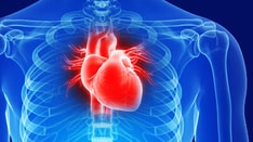 Bleeding Risk for Elective Cardiac Surgery Lower on Weekends