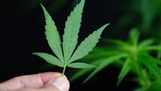 Frequent Cannabis Use Tied to Coronary Artery Disease