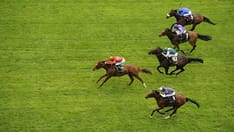 SGLT2 Inhibitors Have a Breakout Year