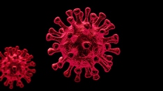 COVID Vaccines Lower Risk of Serious Illness in Kids