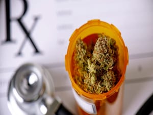 Cannabis May Improve Liver Function in Patients With Obesity