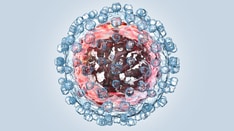 Few Hepatitis C Patients Receive Timely Treatment: CDC