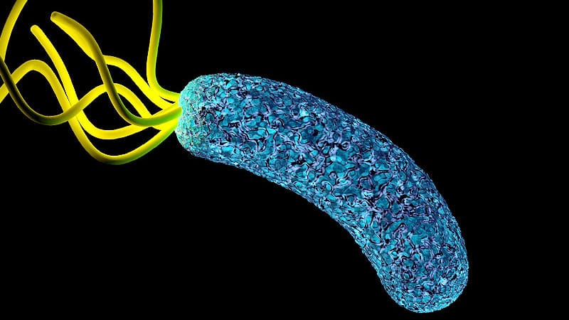 Registry Reveals H. pylori Management Mistakes