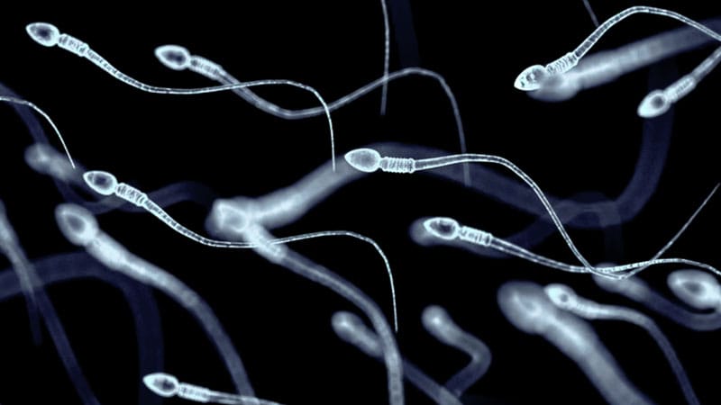 New Study: COVID-19 Could Damage Sperm, but Experts Query Results 