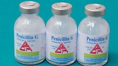 Pen Vee K, Penicillin V (penicillin VK) dosing, indications ...