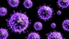 H5N1 Avian Influenza: Q&A With the CDC's Tim Uyeki, MD, MPH, MPP