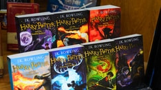 Harry Potter's World Offers View Into Magic of Endocrinology