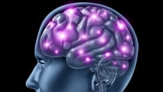 The Prevention of Alzheimer's Disease Probably Won't Come in a Pill Bottle