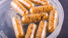 Rapid Review Quiz: Fecal Transplants