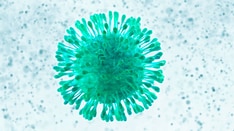 Human papilloma vírus HPV - Dr Zatik szülész-nőgyógyász Debrecen - A vulva kezelés papilloma
