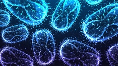 Monkeypox Case Count Reaches 300 in Canada