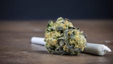 Potent Cannabis Linked to More Worldwide Addiction