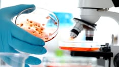 Scientists Identify Viruses as New Weapons to Fight IBD