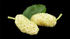 Congressman's Wife Died After Taking Herbal Remedy Marketed for Diabetes and Weight Loss