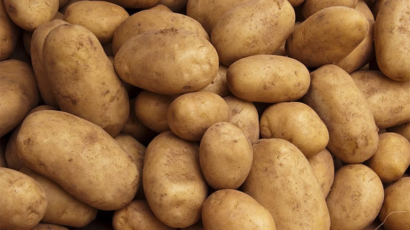Both Potatoes and Beans Reduced Insulin Resistance, Weight