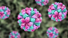 Norovirus Cases Are on the Upswing, CDC Says