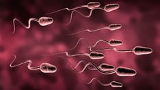 Did That Vasectomy Work? Docs Turn to Mailed-In Samples