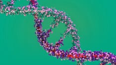 Substance Abuse Disorders May Share a Common Genetic Signature