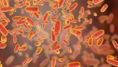 Rapid Review Quiz: Pertussis Recognition and Management