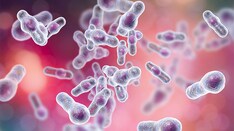 Fast Five Quiz: Clostridioides Difficile Infection