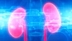 Better Than Dialysis? Artificial Kidney Could Be the Future