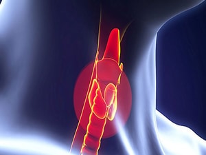 Measures of PTH Predict Post-Thyroidectomy Hypocalcemia