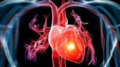 Cardiac Disease Mortality Rate Has Decreased in Germany