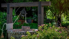 Sadly, ARTESIA Doesn't Answer a Common Question in Cardiology