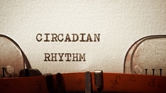 Circadian Calorie-Burning Cycles Altered in Obesity