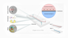 Gut on a Chip: Another Step Forward in Microbiome Research