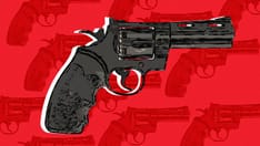 Congress Passes Bipartisan Gun Legislation