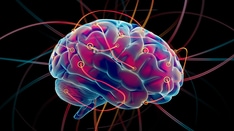 Synthetic Triglyceride Shows Potential in Huntington Disease