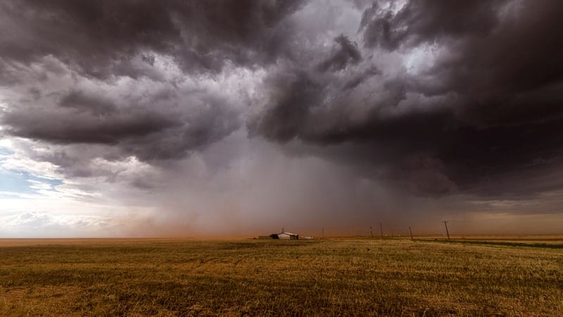 COVID Is Killing Rural Americans at Twice the Rate of Urbanites