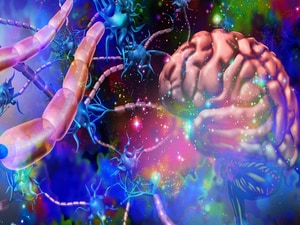Subcutaneous Ocrelizumab, Ofatumumab 'Reassuring' in MS