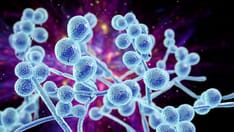 Miltefosine Granted Orphan Drug Approval for Invasive Candidiasis