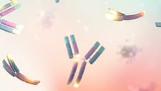 Autoantibodies Signal Reduced Cancer Risk in Dermatomyositis