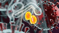 Testes May 'Serve as Viral Sanctuary' for SARS-CoV-2, Small Study Shows