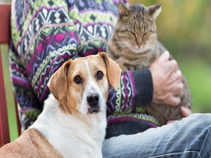 Can Caring for a Pet Protect the Aging Brain?