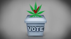 When Voters Legalize Cannabis, Big Pharma Stands to Lose Billions